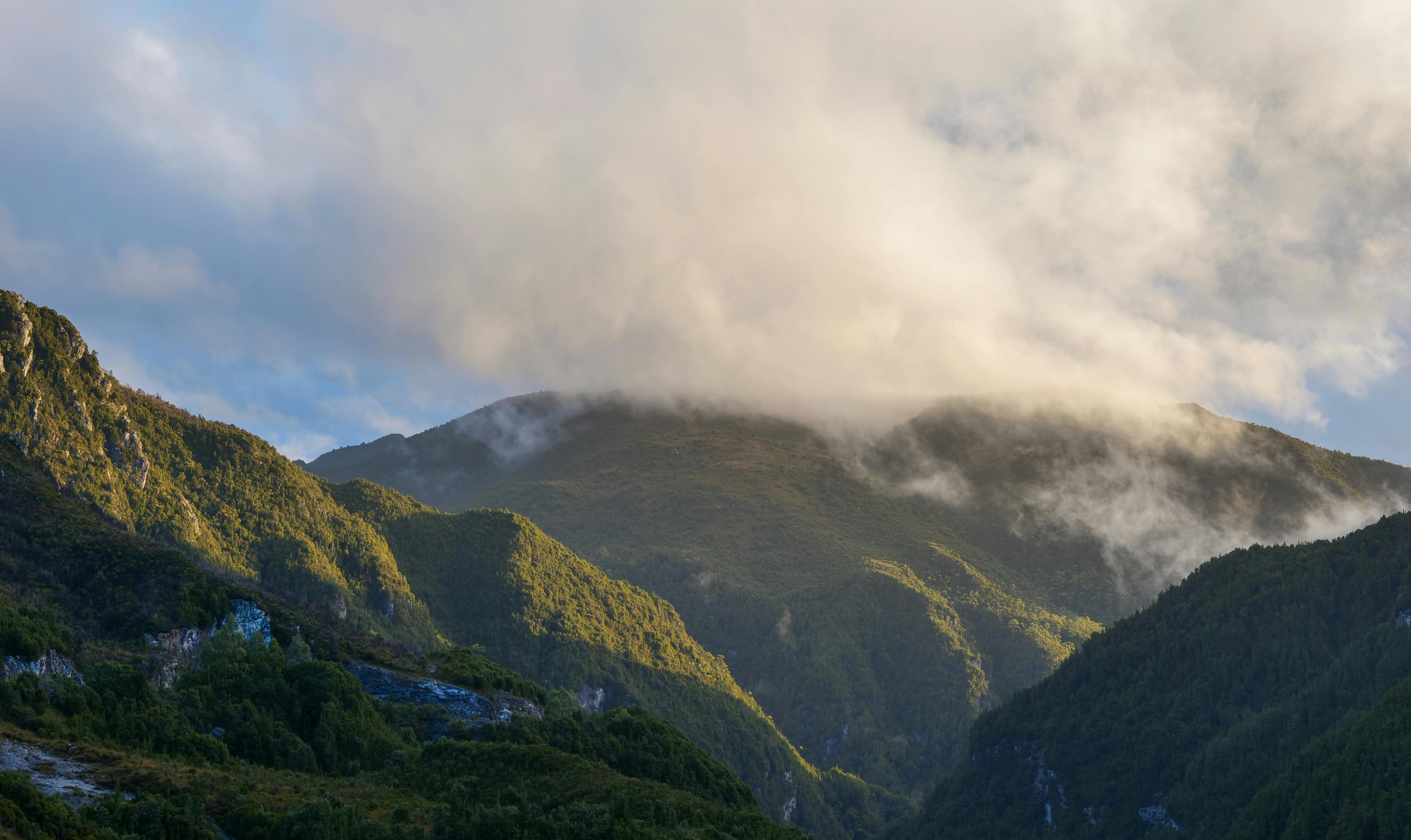 Photo of rows of books in a library with marble busts.